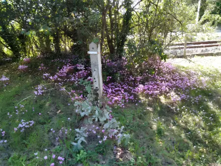 Maison spacieuse avec jardin à Lathus-Saint-Rémy, 160 m², barbecue - Photo 7