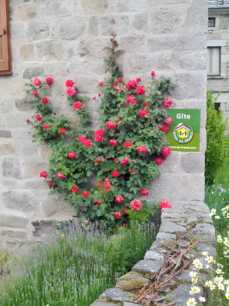 Maison de charme avec vue sur la montagne à Albaret-Sainte-Marie - Photo 16
