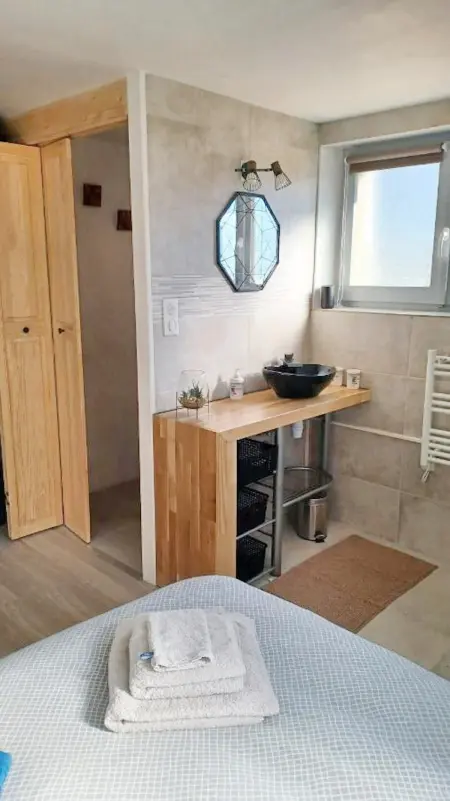 Appartement cosy à Publier - 30 m², terrasse ensoleillée - Photo 6