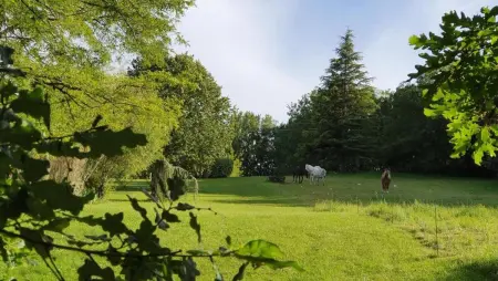 Maison charmeur avec jardin à Puy-l'Évêque et piscine partagée - Photo 18