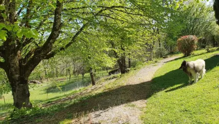Maison charmeur avec jardin à Puy-l'Évêque et piscine partagée - Photo 20