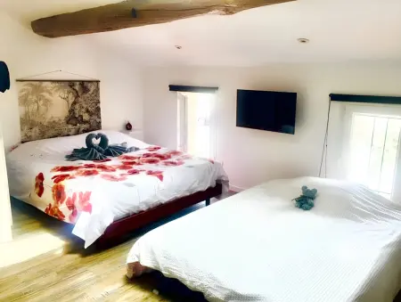Studio charmant à Saint-Jory, 25 m² avec piscine partagée - Photo 8
