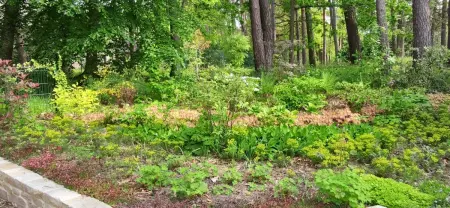 Maison de charme à Arbonne-la-Forêt avec terrasse-jardin verdoyant - Photo 9