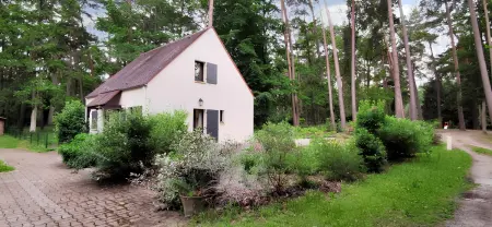 Maison de charme à Arbonne-la-Forêt avec terrasse-jardin verdoyant - Photo 10