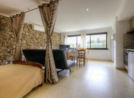 Studio accueillant à Moltifao 30 m² avec terrasse et jardin - Photo 12