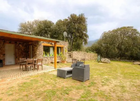 Studio accueillant à Moltifao 30 m² avec terrasse et jardin - Photo 14