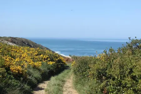 Maison charmante à Nazaré avec cheminée, Maison 4 personnes à Nazare - Photo 22