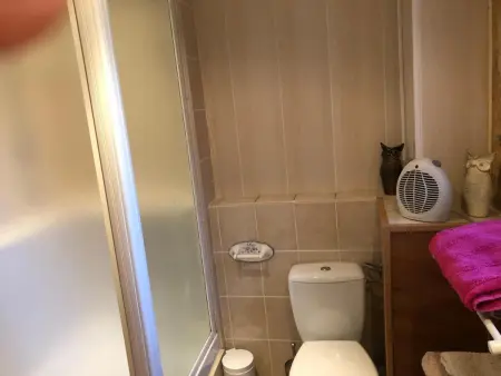 Spacieuse villa à Proissans avec piscine privée - Photo 16
