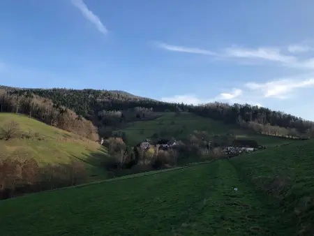 Maison pittoresque à Sainte-Croix-aux-Mines, vue sur la montagne - Photo 12