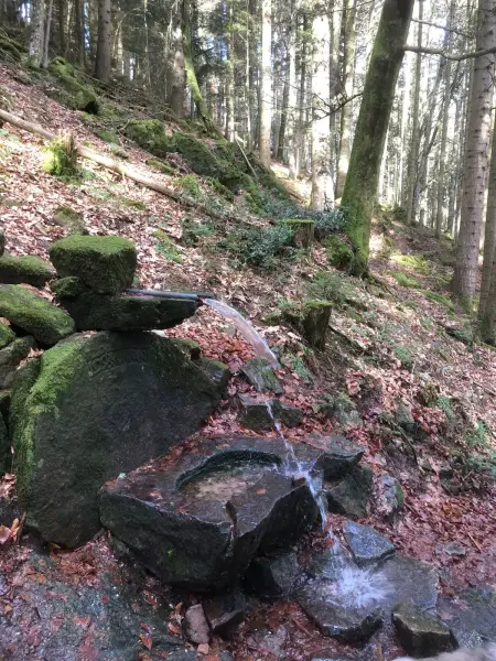 Maison pittoresque à Sainte-Croix-aux-Mines, vue sur la montagne - Photo 14