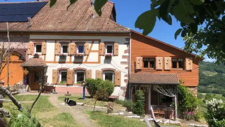 Maison pittoresque à Sainte-Croix-aux-Mines, vue sur la montagne - Photo 59