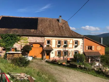 Maison pittoresque à Sainte-Croix-aux-Mines, vue sur la montagne - Photo 63