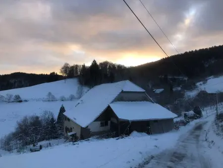Maison pittoresque à Sainte-Croix-aux-Mines, vue sur la montagne - Photo 66