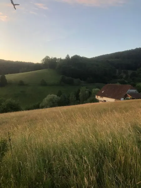 Maison pittoresque à Sainte-Croix-aux-Mines, vue sur la montagne - Photo 89