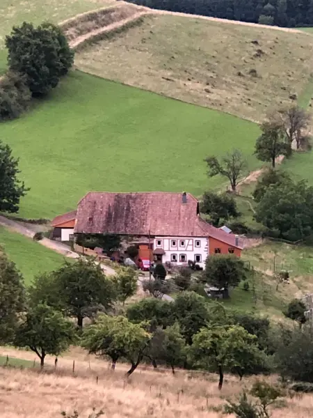 Maison pittoresque à Sainte-Croix-aux-Mines, vue sur la montagne - Photo 92