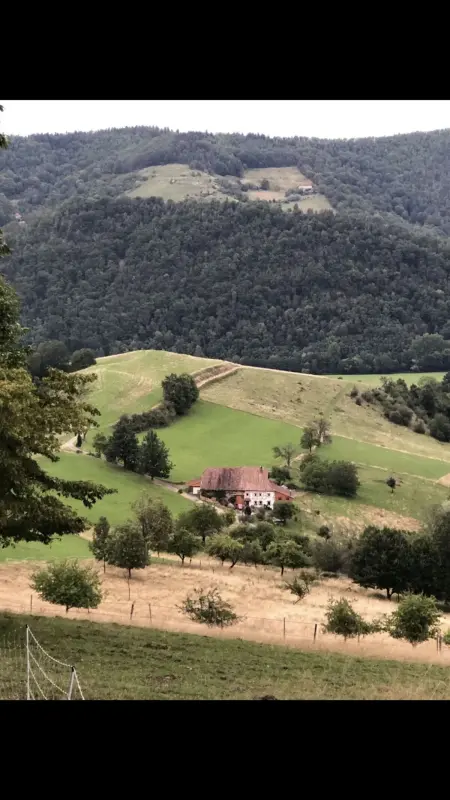 Maison pittoresque à Sainte-Croix-aux-Mines, vue sur la montagne - Photo 103