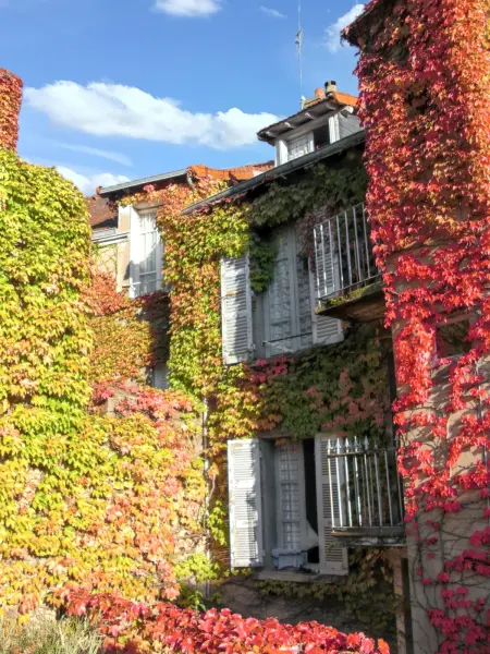 Studio confort à Néris-les-Bains - 18 m² avec jardin - Photo 6