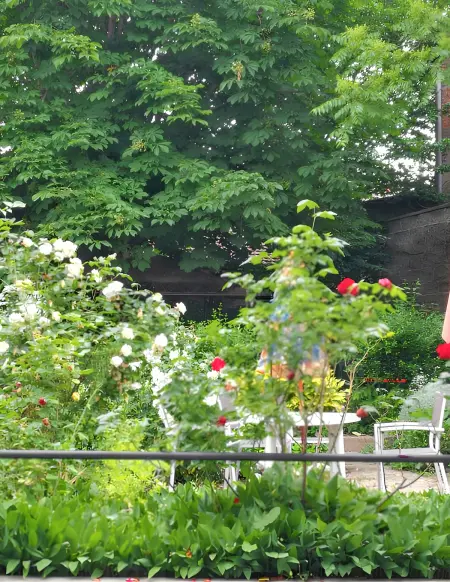 Studio confort à Néris-les-Bains - 18 m² avec jardin - Photo 7