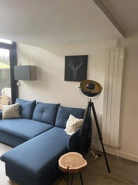 Appartement cosy à Manigod avec piscine partagée – 50 m² - Photo 3