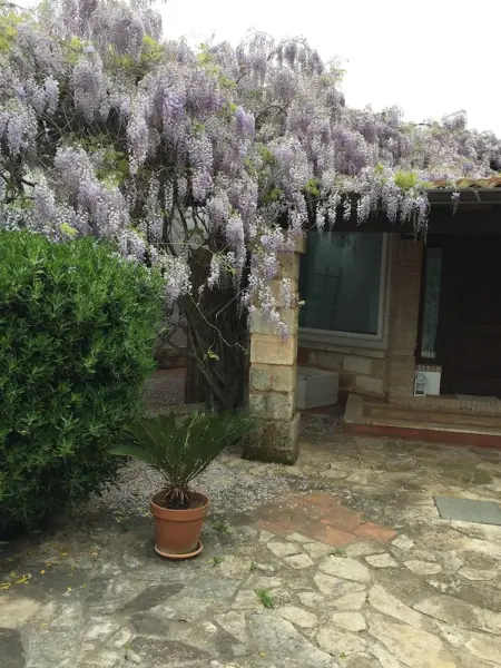 Villa élégante à San Vito dei Normanni avec piscine privée - Photo 27