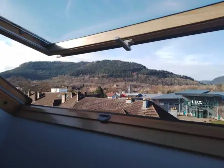 Charming Appartement à Saint-Dié-des-Vosges, 40 m² - Photo 3