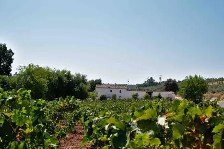Villa élégante au cœur de Montilla avec piscine privée - Photo 1