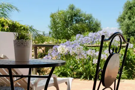 Studio cosy à Faro, 25 m², avec piscine partagée - Photo 12