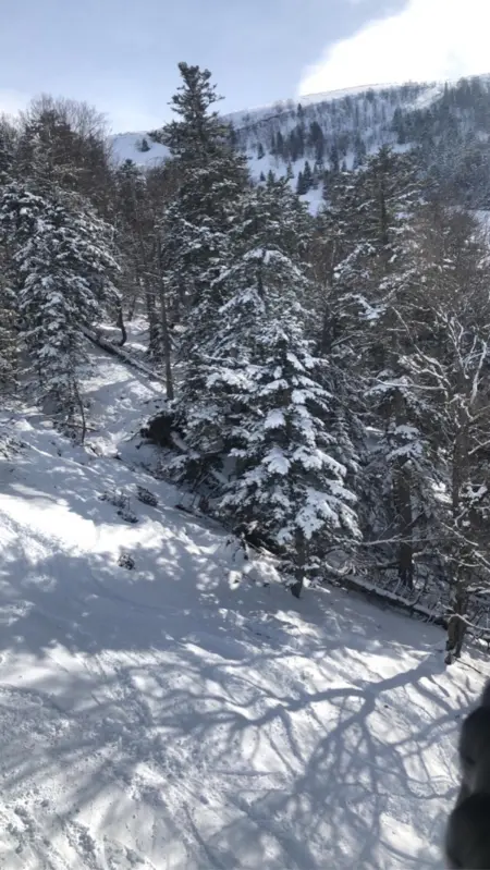 Appartement cosy à Bagnères-de-Luchon 45 m² proche pistes de ski - Photo 32
