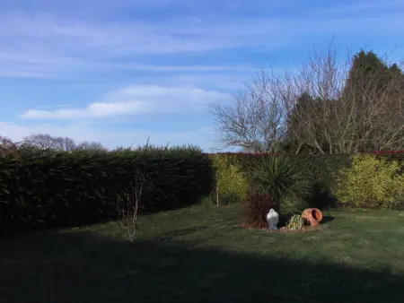 Maison confort Trégomeur avec jardin et parking - Photo 25