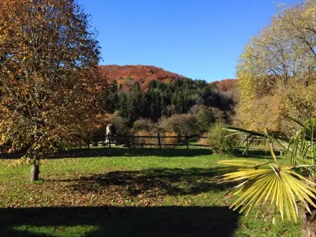 Maison charmante au cœur d'Alligny-en-Morvan avec vue - Photo 14