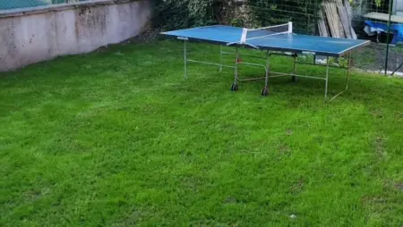 Maison spacieuse et accueillante à Cirey-sur-Vezouze + Jardin - Photo 40