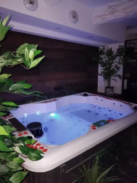 Appartement charmant à Pignans - 46 m² avec jacuzzi - Photo 18