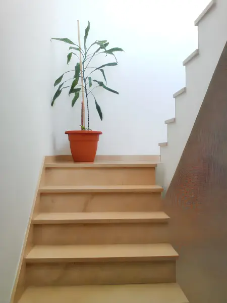 Appartement moderne avec jacuzzi à Séville, 550 m² - Photo 34