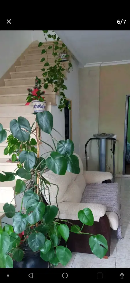 Appartement moderne avec jacuzzi à Séville, 550 m² - Photo 39