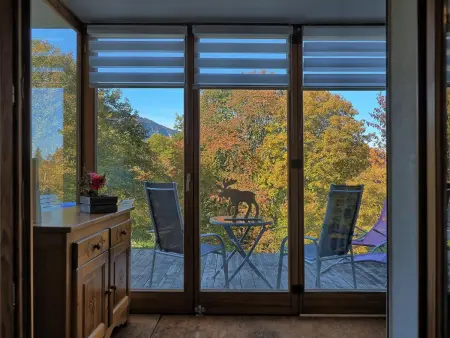 Appartement cosy aux Carroz, 40 m², vue sur la montagne - Photo 10