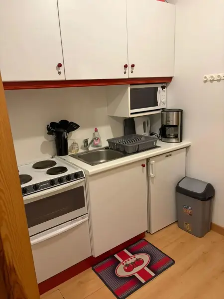 Studio accueillant à Gérardmer, 31 m² avec vue sur montagne - Photo 20