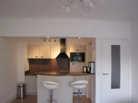 Appartement moderne à Antibes - 50 m² - Vue sur jardin - Photo 4