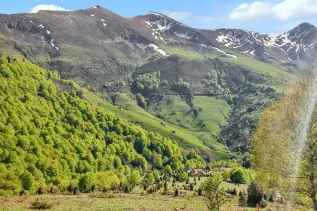 Maison familiale chaleureuse à Augirein avec grand jardin. - Photo 13