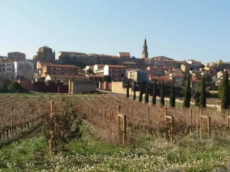 Appartement élégant à Briones, 100 m², avec terrasse et parking - Photo 27