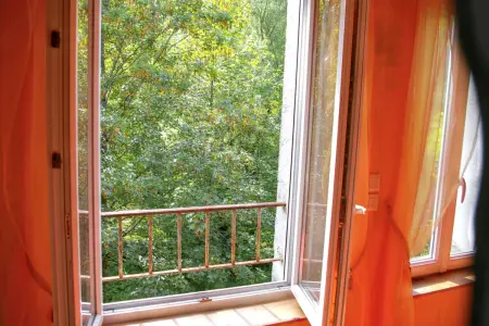 Maison familiale spacieuse à Saint-Claude, vue sur la rivière - Photo 19