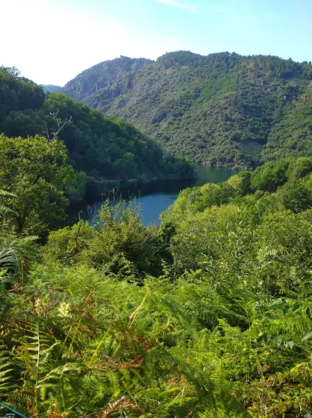 Appartement cosy à Ourense avec vue sur la montagne, 40 m² - Photo 11