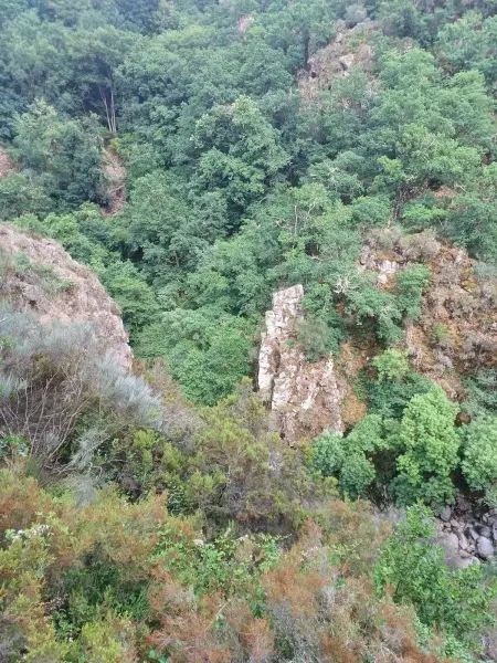 Appartement cosy à Ourense avec vue sur la montagne, 40 m² - Photo 14