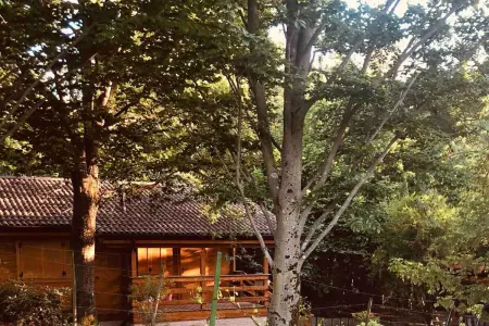 Chalet convivial à Castell'Arquato 90 m² avec piscine privée - Photo 42