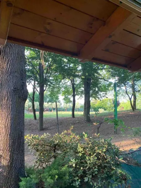 Chalet convivial à Castell'Arquato 90 m² avec piscine privée - Photo 68