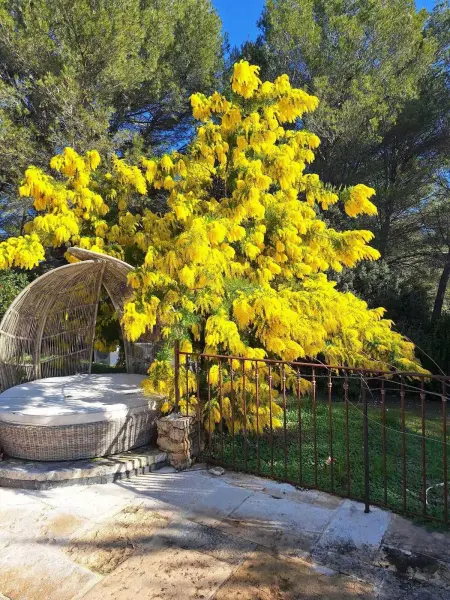 Villa élégante à Lambesc avec spa, Villa 14 personnes à Lambesc - Photo 22