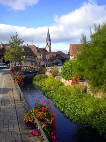 Maison charmante avec jardin à Stotzheim | Climatisation incluse - Photo 13
