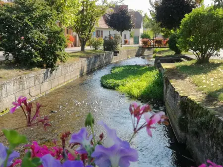 Maison charmante avec jardin à Stotzheim | Climatisation incluse - Photo 14