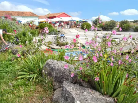 Maison agréable proche des plages - 40 m² - Le Grand-Village-Plage - Photo 11