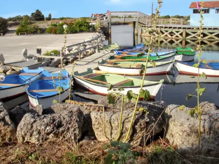 Maison agréable proche des plages - 40 m² - Le Grand-Village-Plage - Photo 12