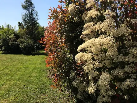 Villa raffinée à Saint-Cyr-sur-Loire avec piscine privée - Photo 42